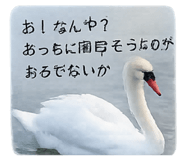 843469955