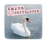843469957