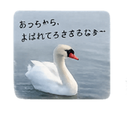 843469959