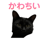 843470659