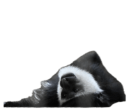 843470780