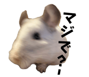 843470811