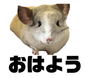 843470815