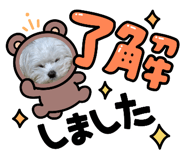 843470992