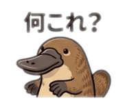 843471153