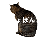 843472263