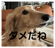 843472398