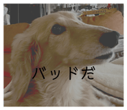 843472399