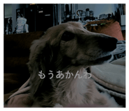 843472400