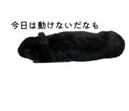 843472507