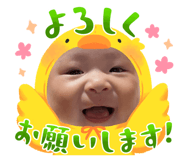 843472529