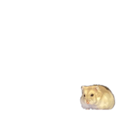 843472648