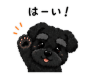 843472817