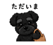 843472825