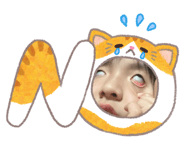 843472911