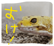 843472939