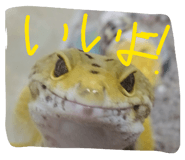 843472943