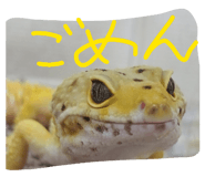 843472944