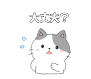 843473209