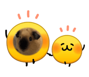 843473440