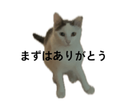 843473722
