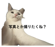 843473724