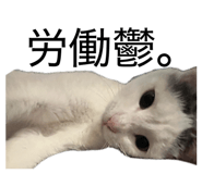 843473725