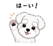 843473761