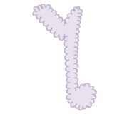 843474372