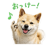 843474413