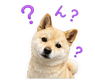 843474416