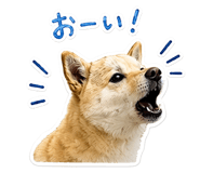 843474418