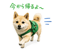843474419