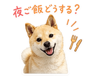 843474426