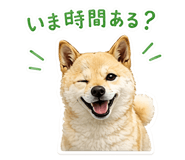 843474427