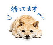 843474432