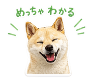843474433