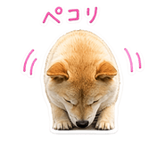 843474439