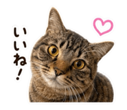 843474509