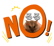 843476796