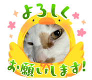 843476833