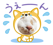 843476844