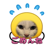 843476846