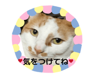 843476858