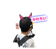 843477325