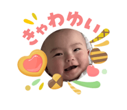 843477443