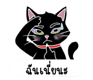 843477605