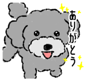 843477665