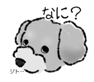 843477669