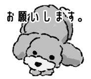 843477677